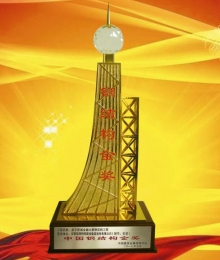 中國鋼結(jié)構(gòu)金獎(jiǎng)--南京明發(fā)新城金融大廈